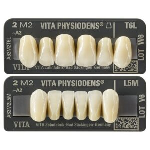 PHYSIODENS O1S