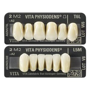 PHYSIODENS 20E